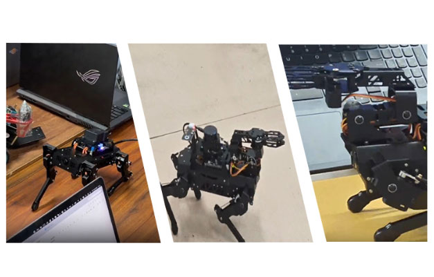 人工智能實(shí)訓項目