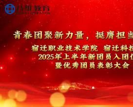 黨旗領(lǐng)航青春路，團徽閃耀新青年 