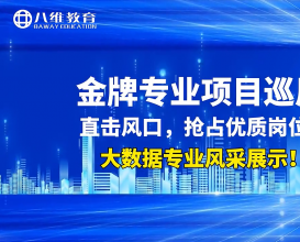 八維大數據金牌專(zhuān)業(yè)項目展示