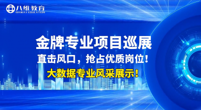 八維大數據金牌專(zhuān)業(yè)項目展示