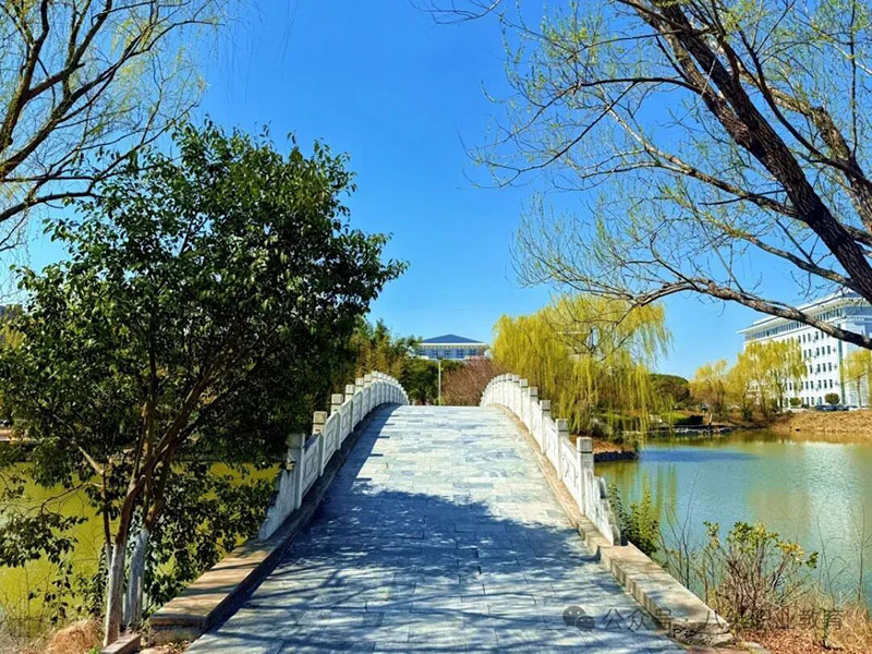 感恩不是口號，奉獻才是答案：八維教育文化如何重塑你的人生價(jià)值