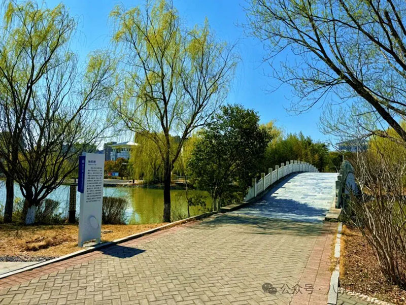 2026就業(yè)危機前夜：為什么越來(lái)越多學(xué)生選擇八維教育搶占AI時(shí)代先機？