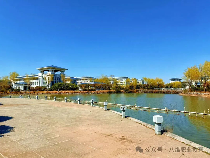 八維教育助力職業(yè)發(fā)展：從零基礎到高薪就業(yè)的加速引擎