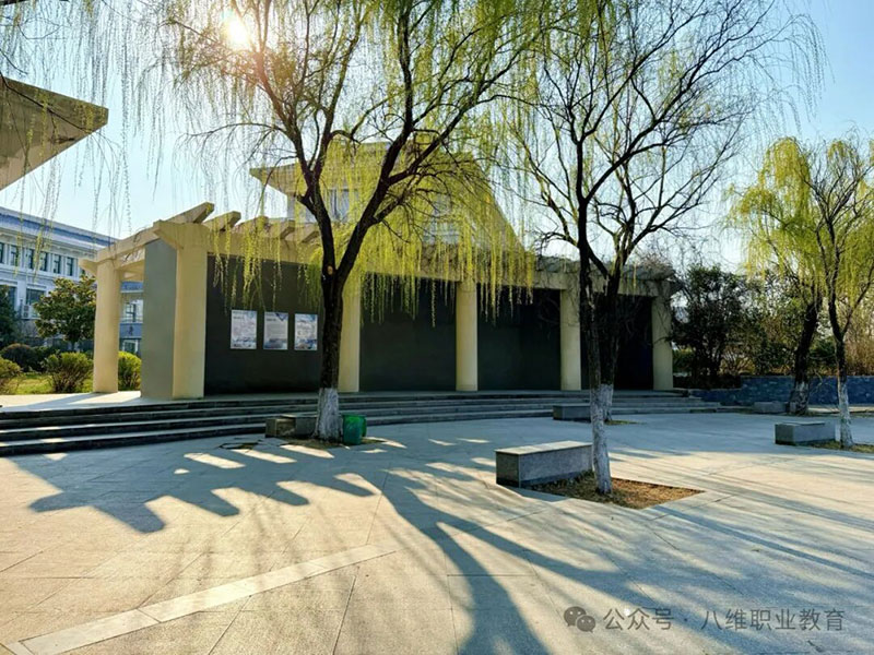 八維教育：以“能力本位”重塑IT培訓新范式