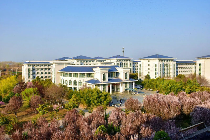 感恩不是口號，奉獻才是答案：八維教育文化如何重塑你的人生價(jià)值