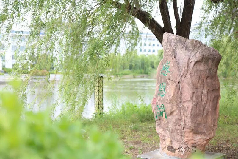 大數據培訓班出來(lái)真能找工作嗎？八維教育學(xué)員真實(shí)就業(yè)情況揭秘！