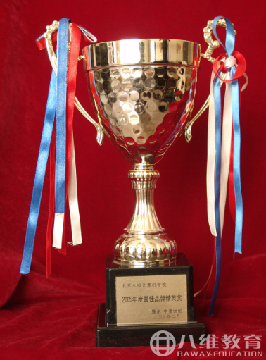 2005年度最佳品牌精英獎