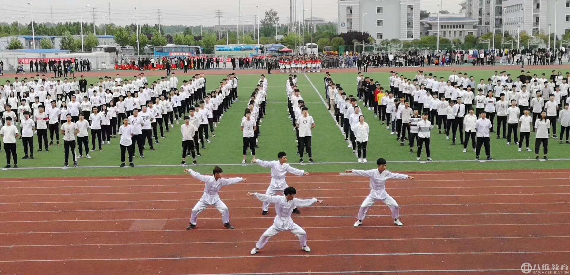 太極操團體表演