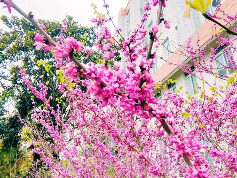 家長(cháng)們怎么看待職業(yè)教育？